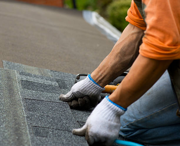 Best Residential Roofing Contractor  in Laurel, FL